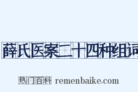 薛氏医案二十四种组词是什么意思的图片